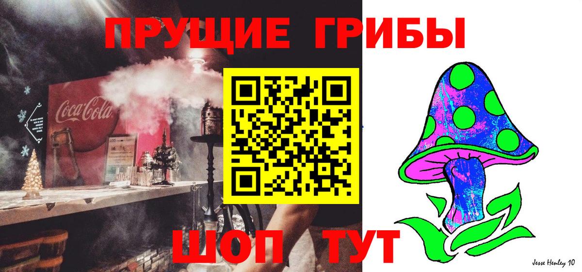 Алатырь  Псилоцибиновые грибы GOLDEN TEACHER  Вход с VPN 
